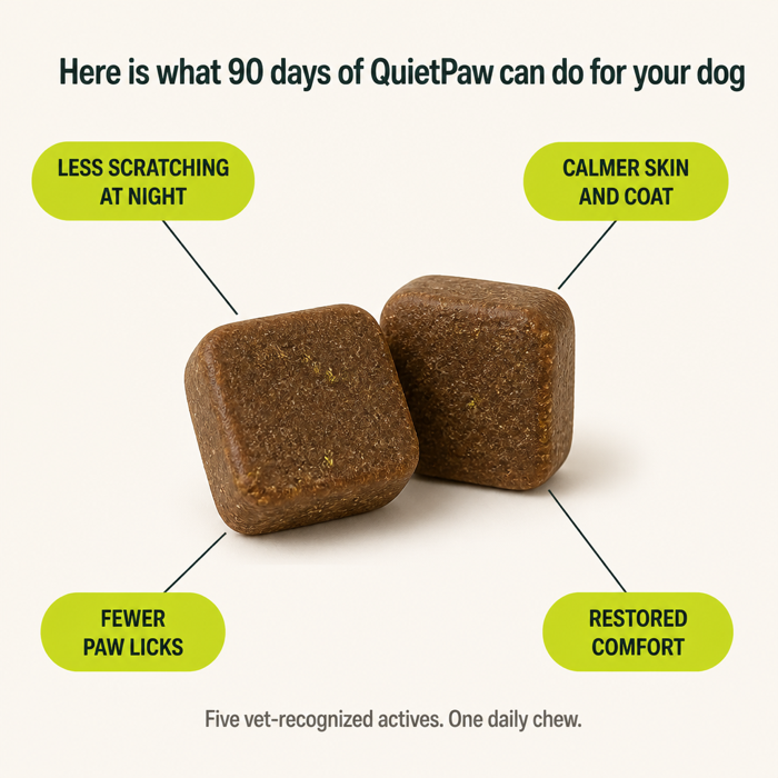 What 90 days of QuietPaw can do for your dog
